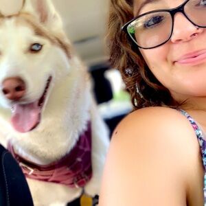 Meet your Posher, Sammy